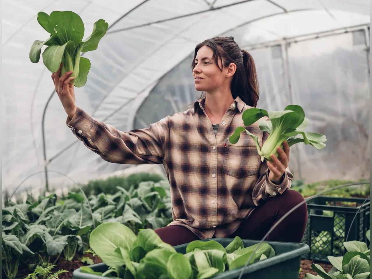 lucia-schauerhammer_dorfgarten-jpg