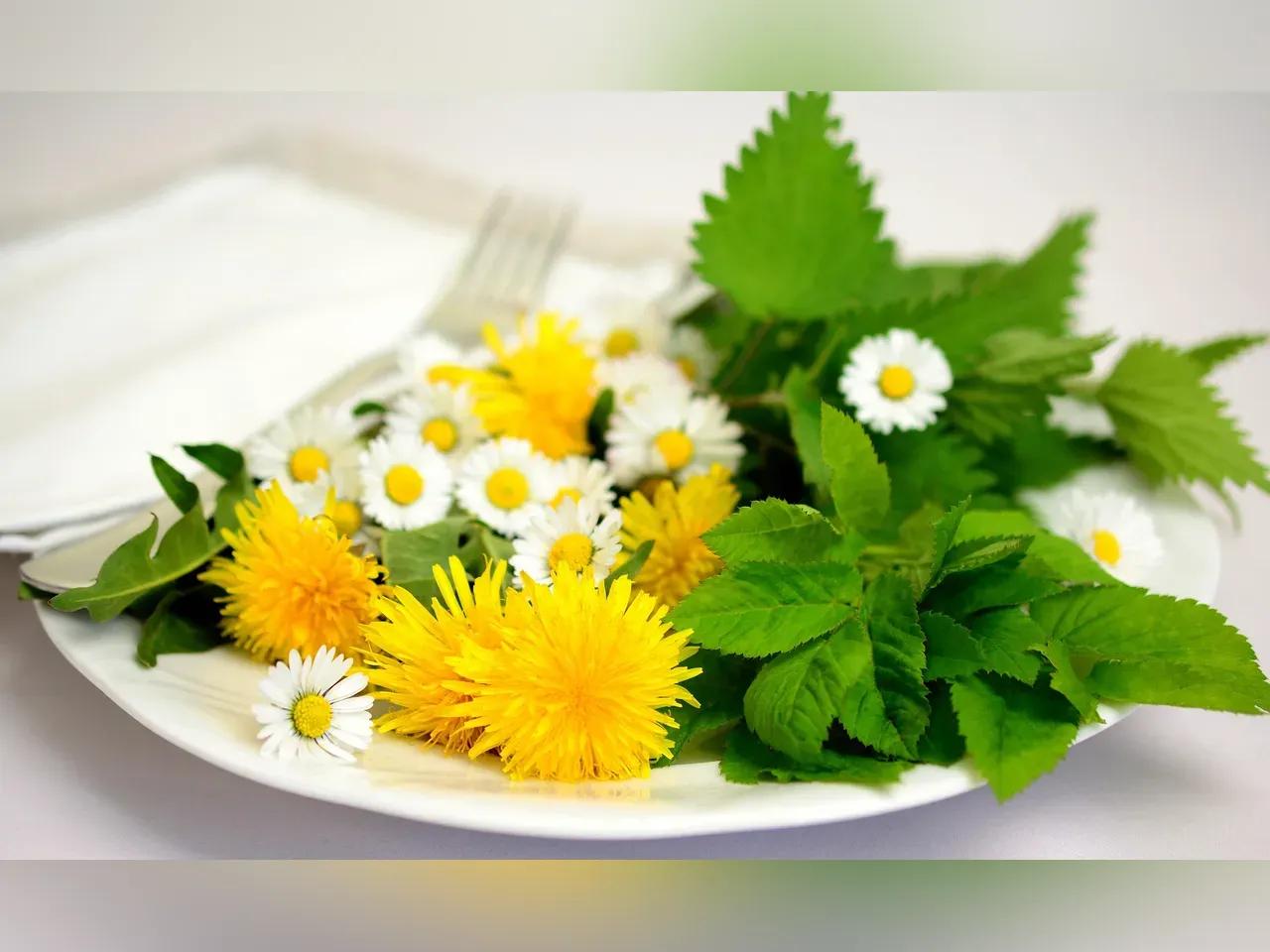 herbs-5140754_1920-jpg