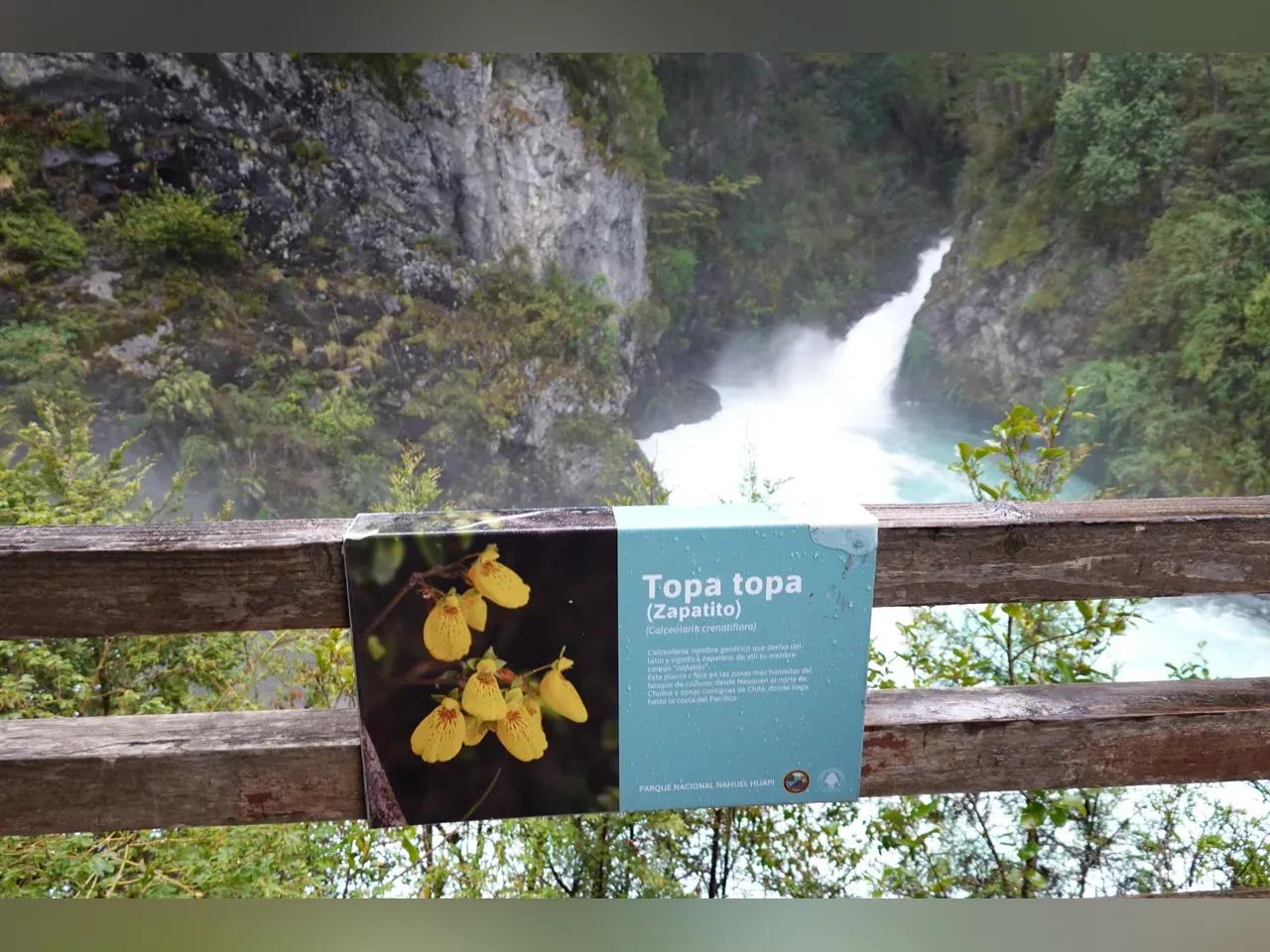 Holzgeländer mit Pflanzeninformation über eine seltene Pantoffelblume, dahinter tosender Wasserfall