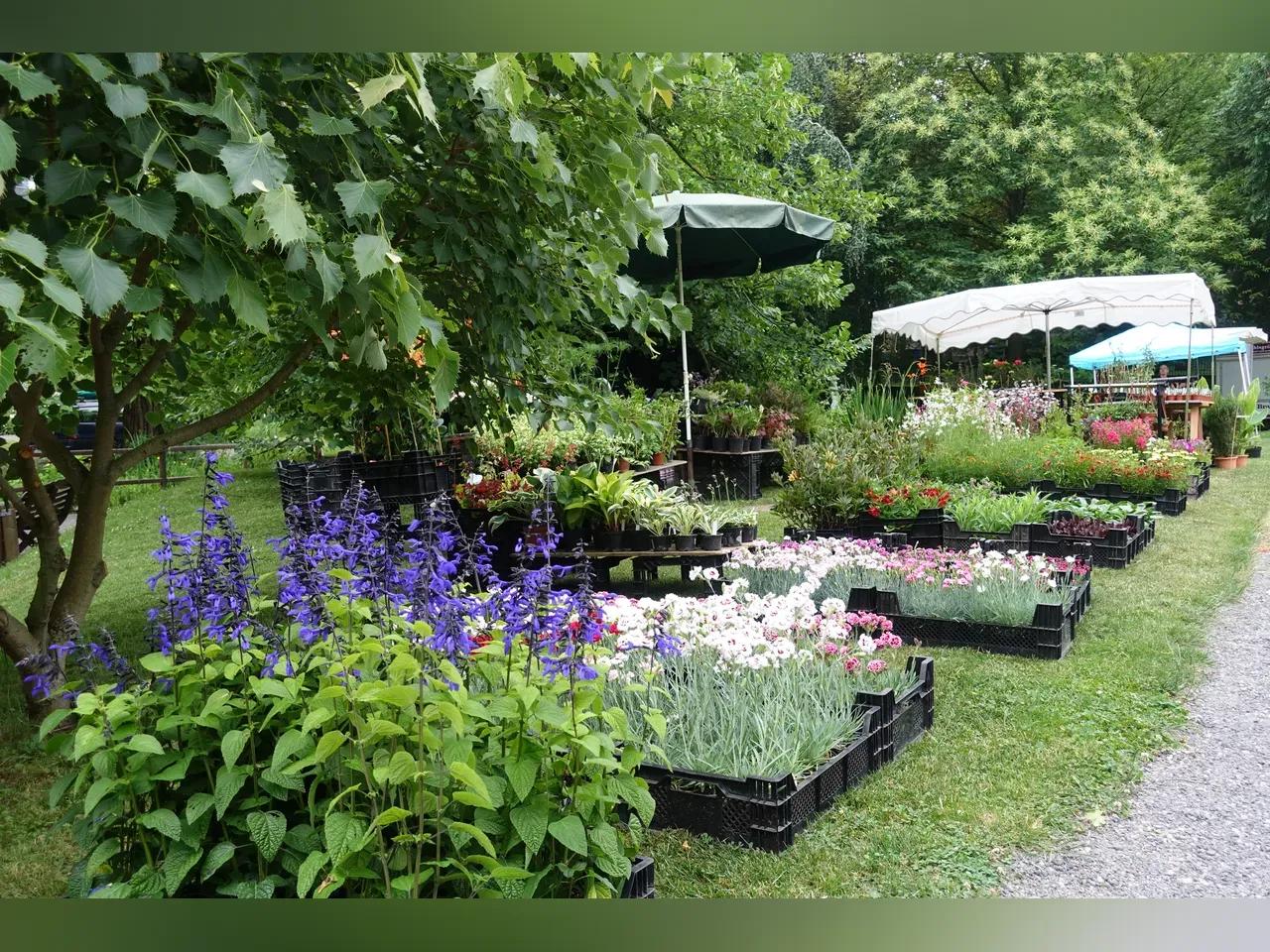 Stand eines Ausstellers mit Pflanzenangebot