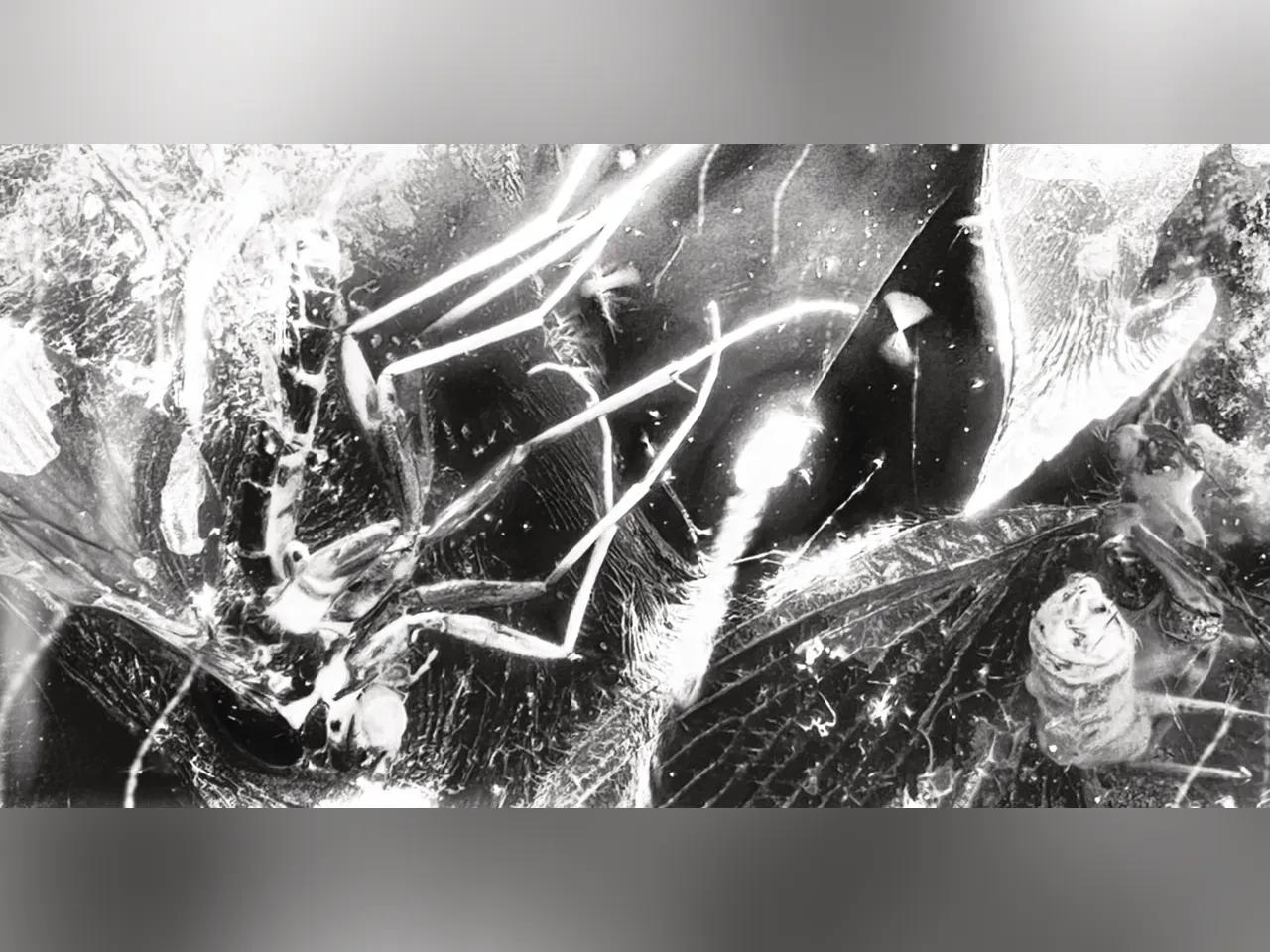 KassaClub-Finsternis 30_04_2026_Socials