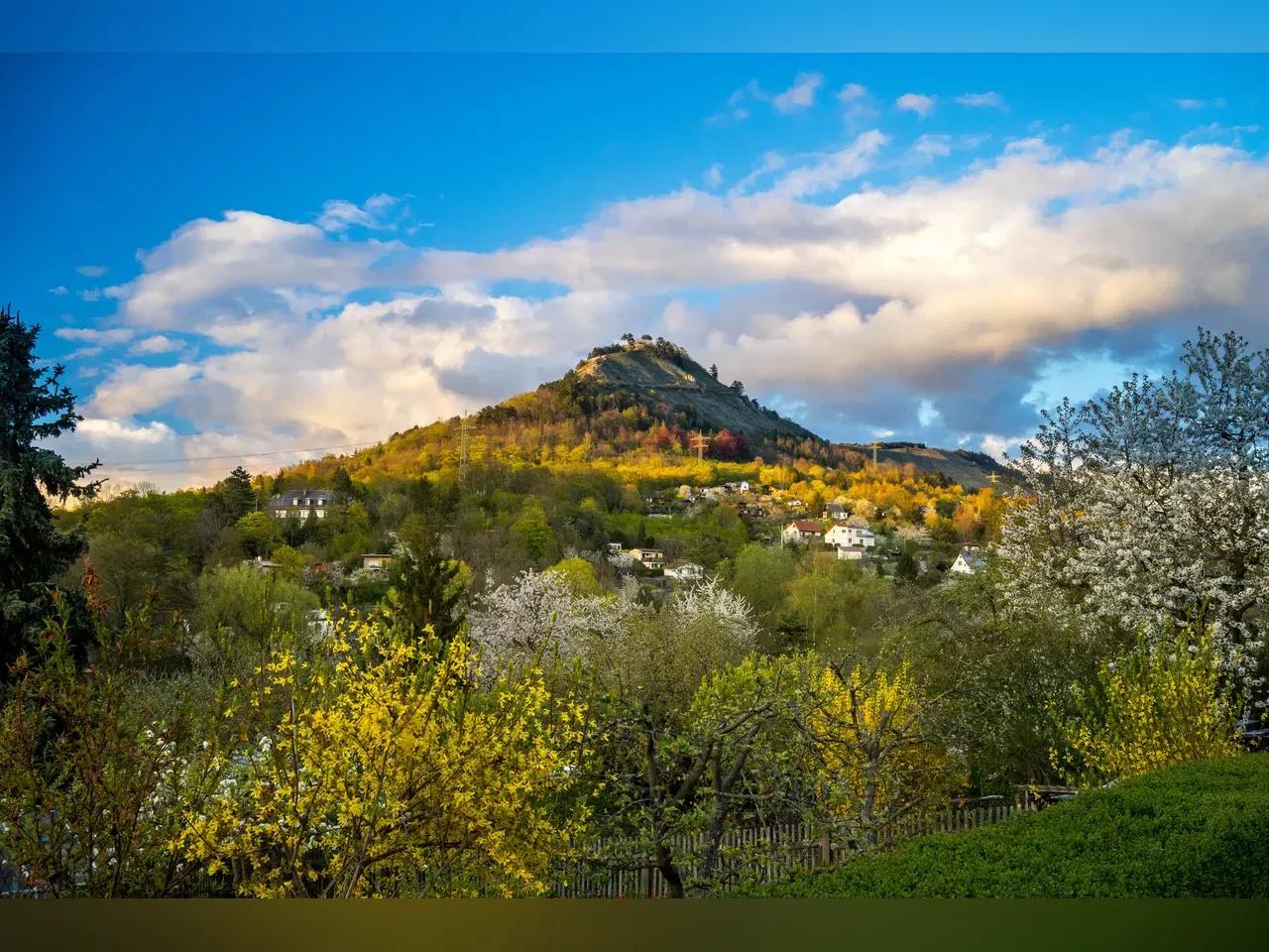 jena_fr-hling_quelle_jenakultur_autor_c-h-cker5-jpg