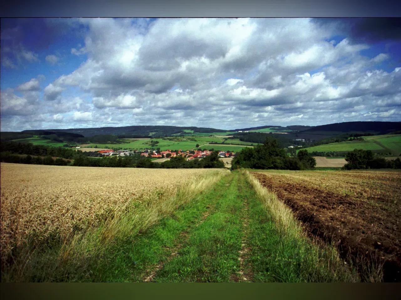 db06_0031-jpg